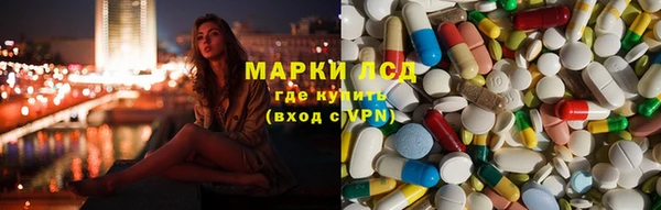 тгк Алзамай