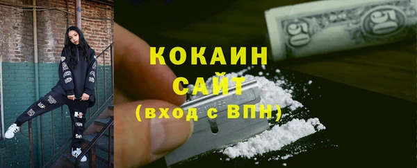 тгк Алзамай