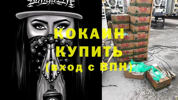 тгк Алзамай