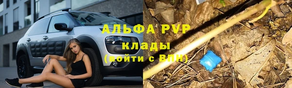 тгк Алзамай