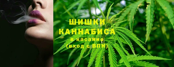 тгк Алзамай