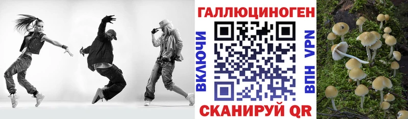 Псилоцибиновые грибы мицелий  omg   Добрянка 