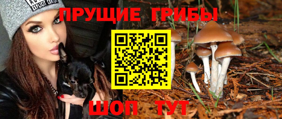 как найти   Псилоцибиновые грибы ЛСД  Вход с VPN  Добрянка 
